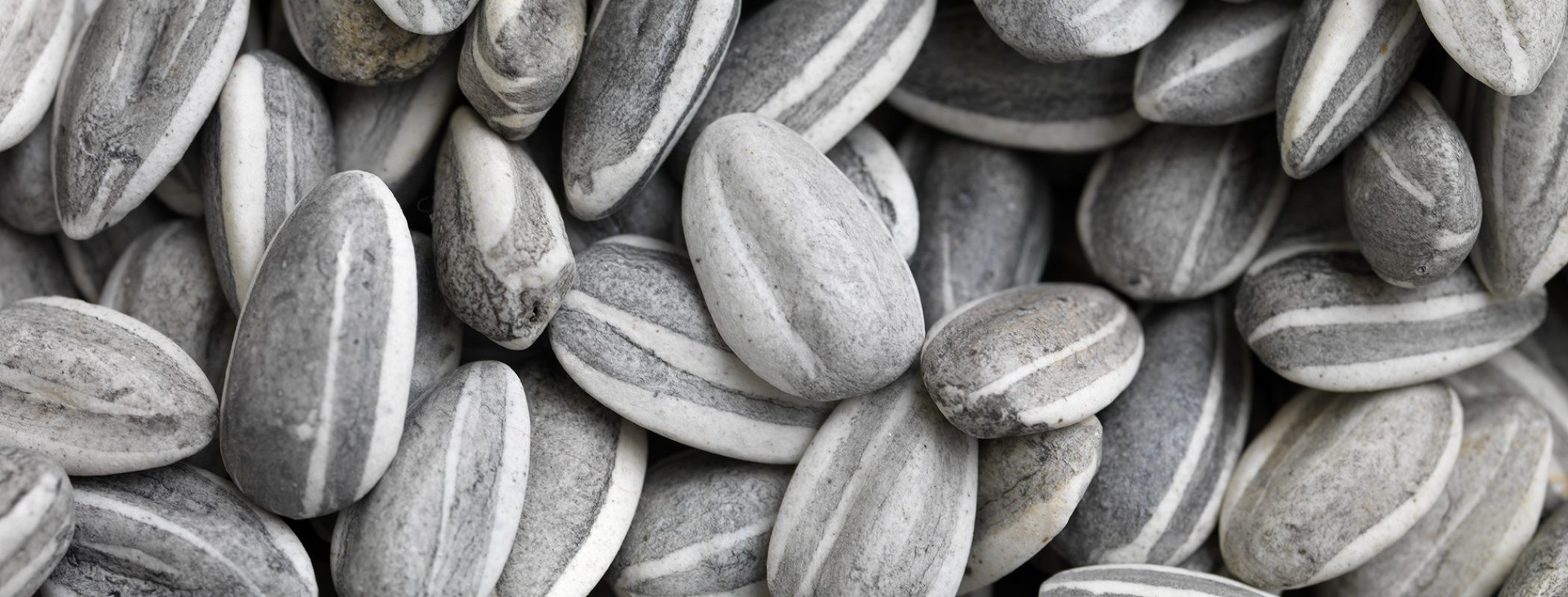 Figure 11:12. Ai Weiwei, Sunflower Seeds, 2009, image courtesy of Ai Weiwei and White Rabbit Collection, Sydney.