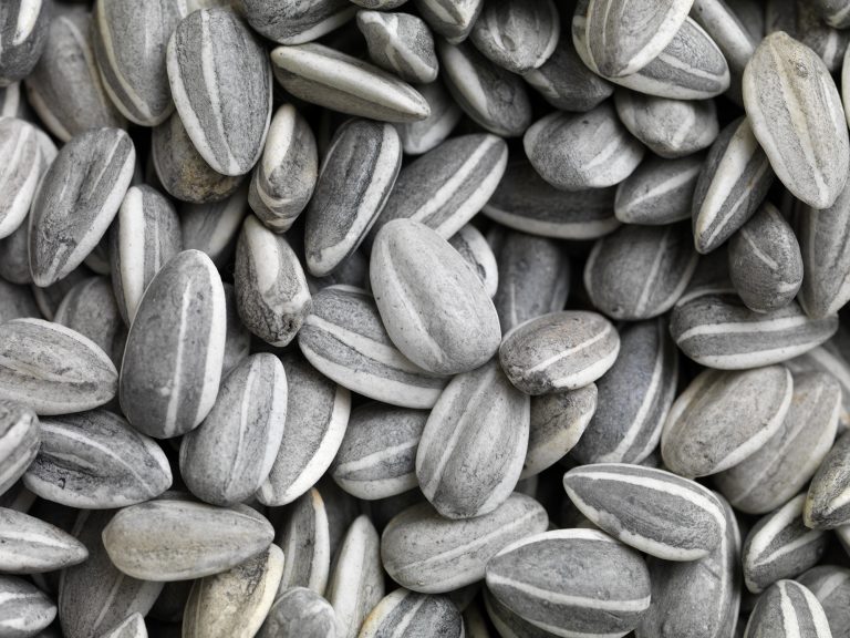 Figure 11:12. Ai Weiwei, Sunflower Seeds, 2009, image courtesy of Ai Weiwei and White Rabbit Collection, Sydney.