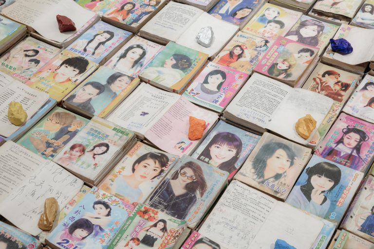 Figure 11:9. Liu Chuang, Love Story, 2014, image courtesy of Liu Chuang and White Rabbit Collection, Sydney.  Photography: Hamish MacIntosh.